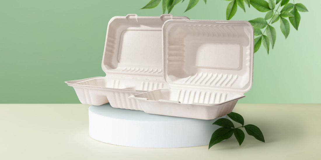 New Arrival: 850ml Bagasse Clamshells for Sustainable, Portion-Smart Packaging