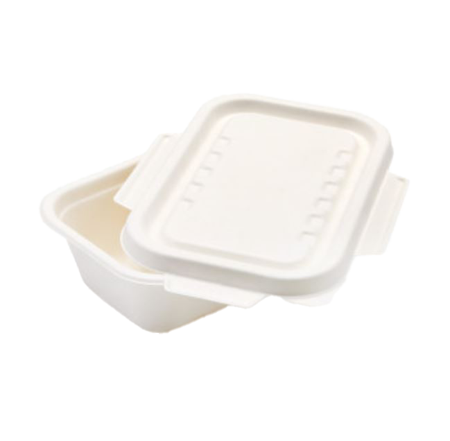 Bagasse 650ml Rectangle Container with wing lid 208x130x55 (Pack of 50)