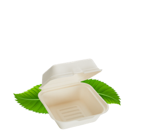 Bagasse 800ml Hamburger Clamshell Container (Pack of 50)