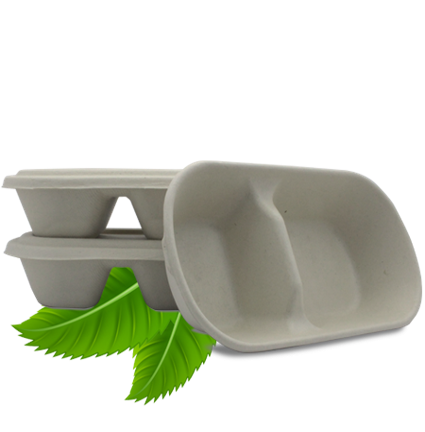 Bagasse Two Compartment 1000ml (25 Per Pack)