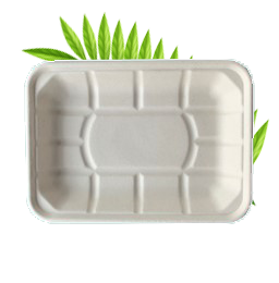 Bagasse Food Tray 5 (210x150x25mm) TR2D Packs of 50