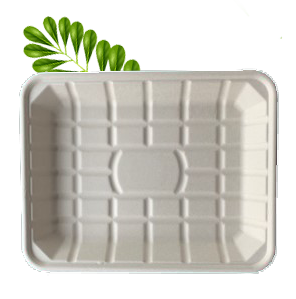 Bagasse Food Tray 4 (297x230x35mm) TR9P Pack of 50
