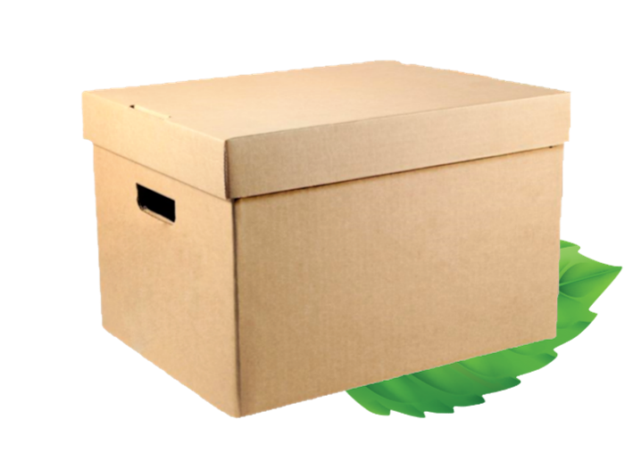 Large Kraft Picnic Box with lid - 450x340x260 (Sold Individually)