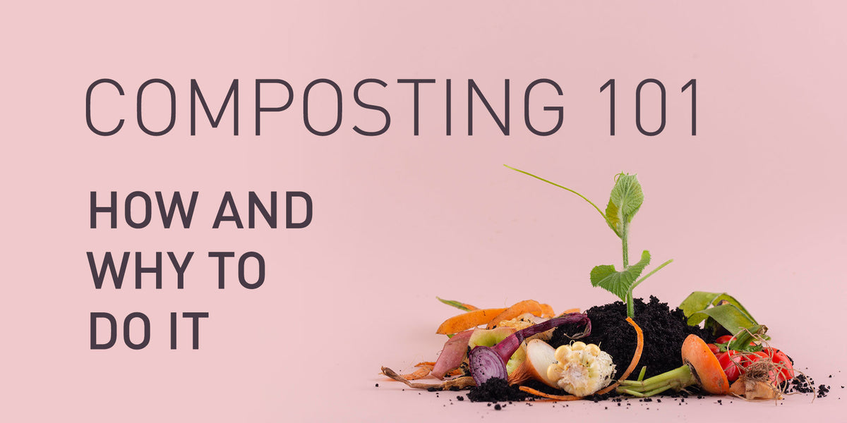 Composting 101: How and Why to do it – Enviromall