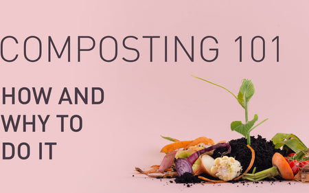 Composting 101: How and Why to do it