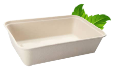 Bagasse 500ml Rectangular Container Base only (50 per pack)