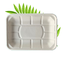 Bagasse Food Tray 5 (210x150x25mm)  (Pack of 50)