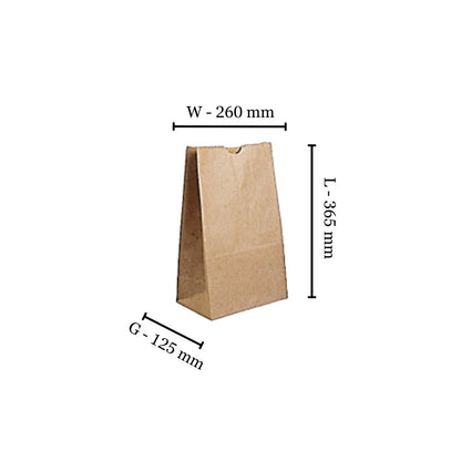 Eco-friendly kraft paper shopper bag, compostable and recyclable, for retail and gifting