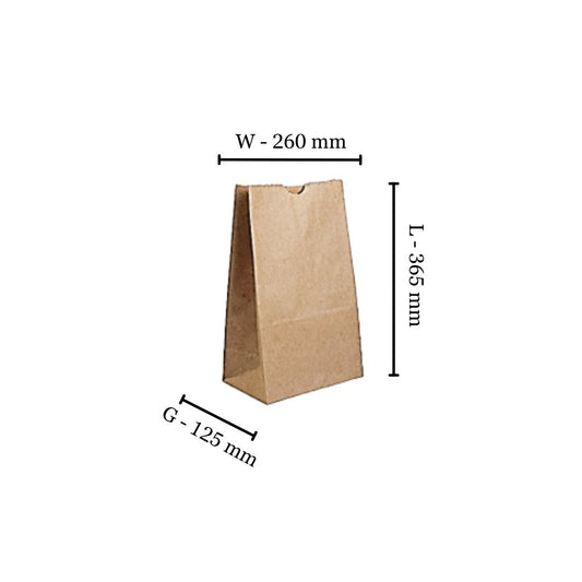 Eco-friendly kraft paper shopper bag, compostable and recyclable, for retail and gifting