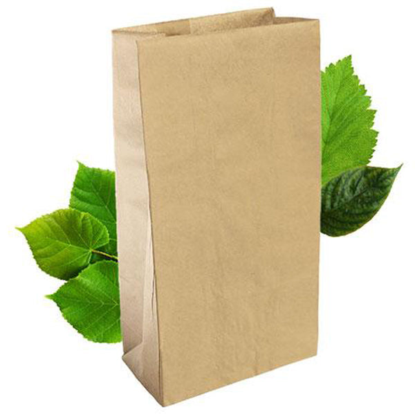 SO 8 Brown Bag (500 Per Pack) -L305xW165xG90mm