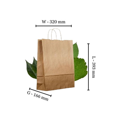 Handypak with Compostable  Twist Handles 100gsm (Box of 250)