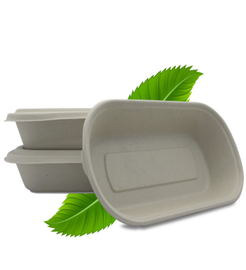 Bagasse 1000ml Single Compartment Base only (Pack of 50)