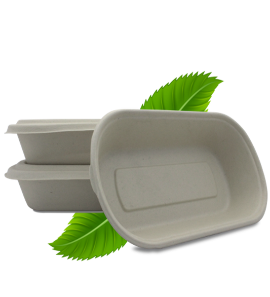 Bagasse 1000ml Single Compartment Base only (Pack of 50)