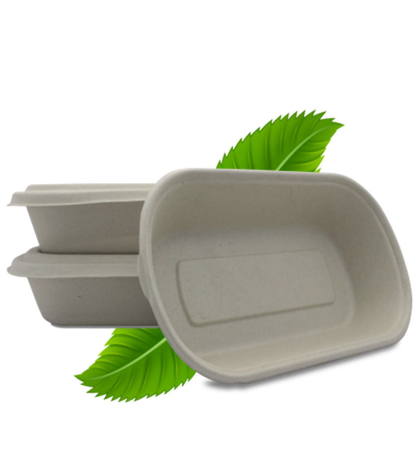 Bagasse Single Compartment 1000ml (50 Per Pack)