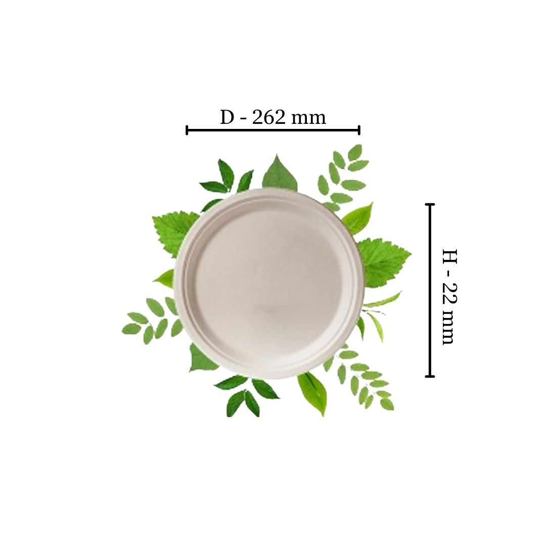 Bagasse 26cm Round Plate (Pack of 50)