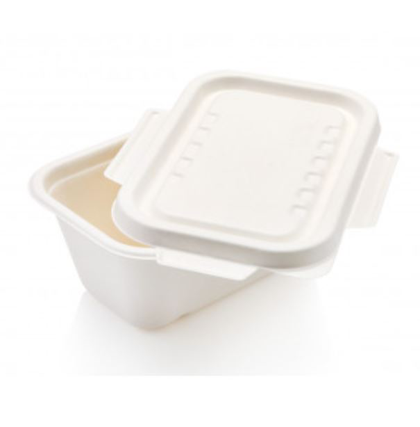 Bagasse 1000ml Rectangle Container with wing lid - 208x130x82 (Pack of 25)