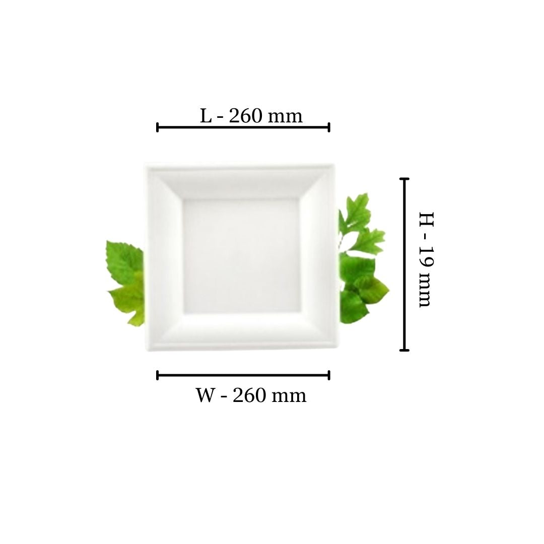 Bagasse Large Square Plate (26cm) (Pack of 125)