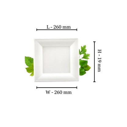 Bagasse Large Square Plate (26cm) (Pack of 125)