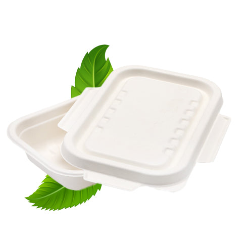 Bagasse 450ml Rectangle Container with wing lid - 208x130x40 (Pack of 50)