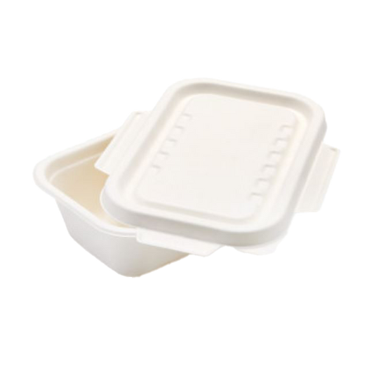 Bagasse 650ml Rectangle Container with wing lid  208x130x55 (Pack of 50)