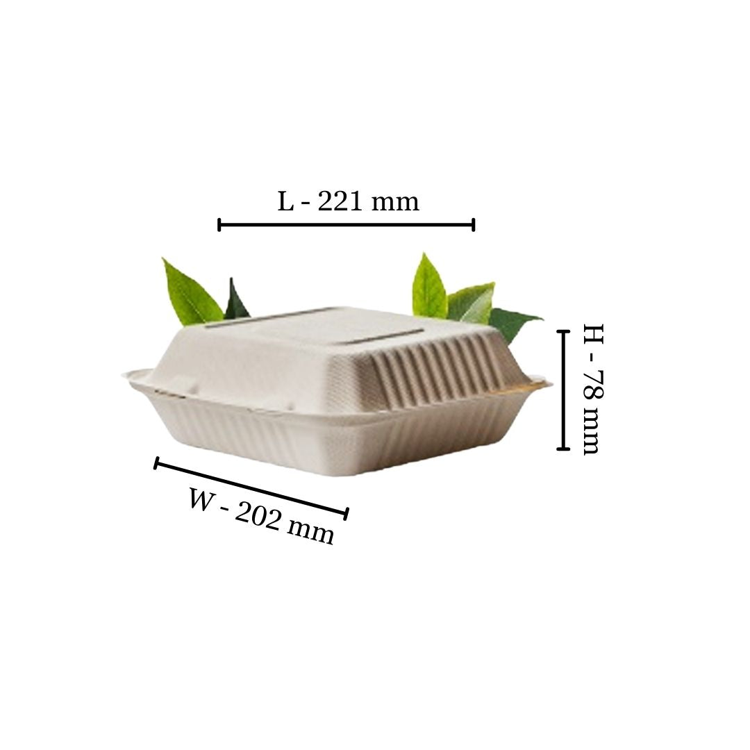 Bagasse 1000ml Single Division Clamshell Square Container (Pack of 50)