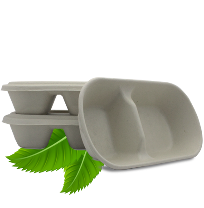 Bagasse Two Compartment Base Container - 1000ml (50 Per Pack)