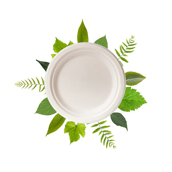 Biodegradable 18 cm Round Plate  - Bagasse (125 Per Pack)