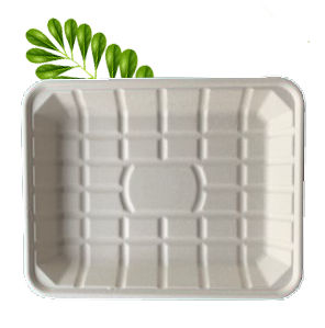 Bagasse Food Tray 4 (297x230x35mm)  (Pack of 50)