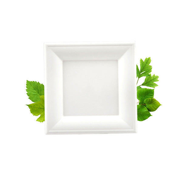 Bagasse Large Square Plate (26cm) (Pack of 125)