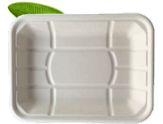 Bagasse Food Tray 2 (235x175x35mm)  (Pack of 50)