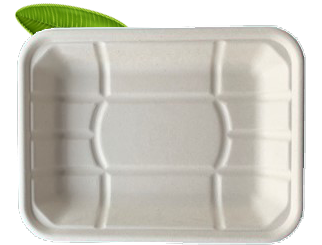 Bagasse Food Tray 2 (235x175x35mm) 4D Pack of 50