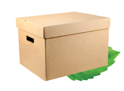 Large Kraft Picnic Box with lid - 450x340x260 (Sold Individually)