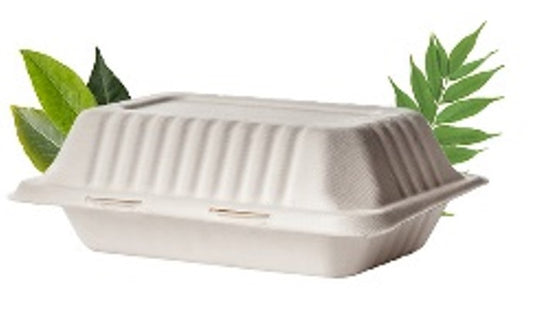 Bagasse 1000ml Single Division Clamshell Rectangle Container (Pack of 50)