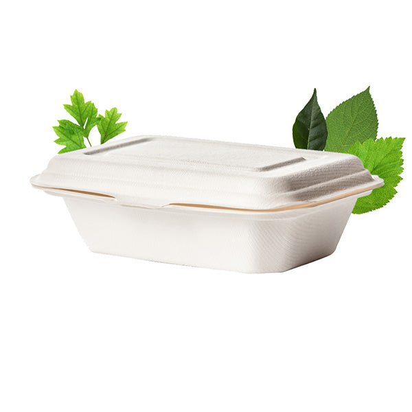 Plain 600ml Biodegradable Single Compartment Container - Bagasse (50 Per Pack