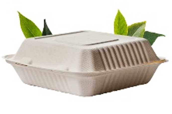 Biodegradable 8inch 1000ml Plain Container - Bagasse (50 Per Pack)