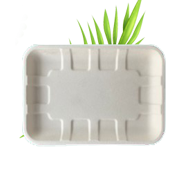 Bagasse Food Tray 1 (200x140x15mm) (Pack of 50)