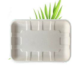 Bagasse Food Tray 1 (200x140x15mm) TR2S Pack of 50