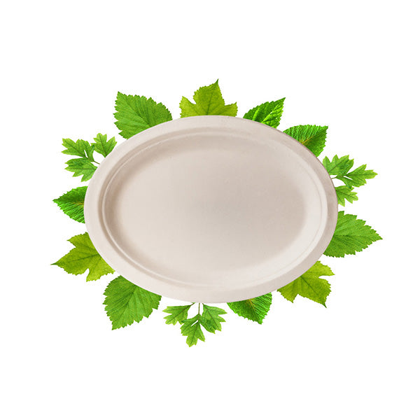 Bagasse Small Oval Plate (Pack of 50)