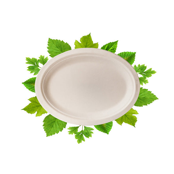 Biodegradable Small Oval Plate - Bagasse (50 Per Pack)
