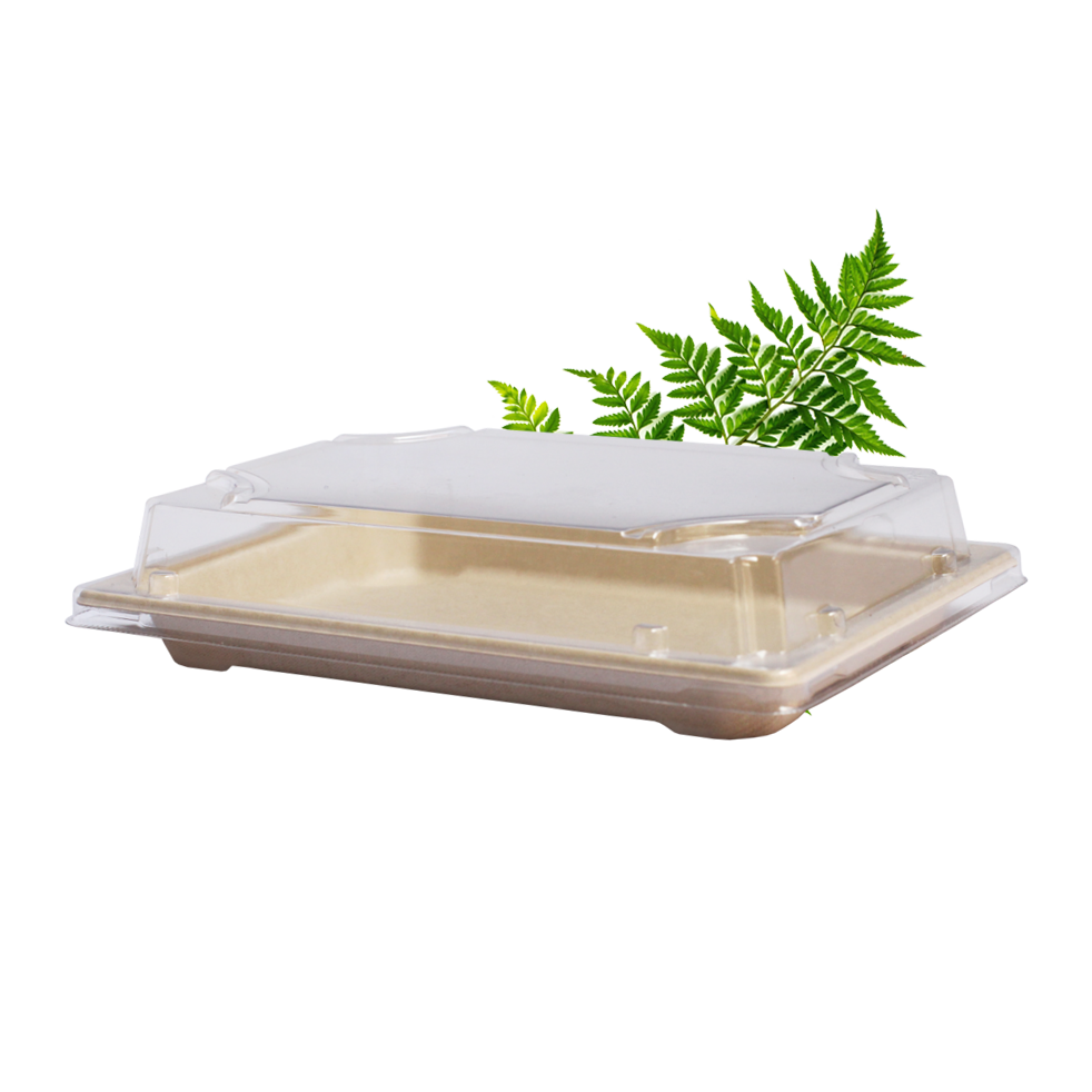 PET Lid for Sushi Tray - Fits BDG0357 (Pack of 100)