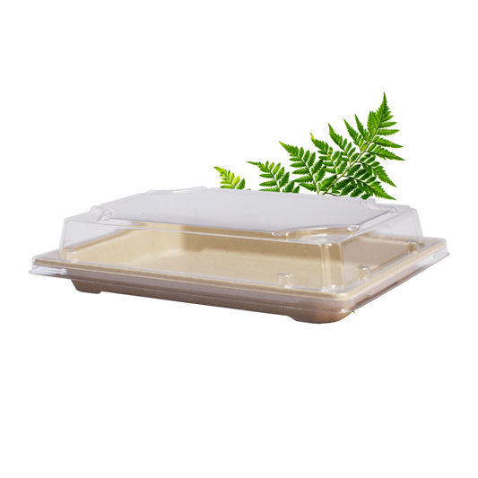 PET Lid for Sushi Tray - Fits BDG0357 (Pack of 100)