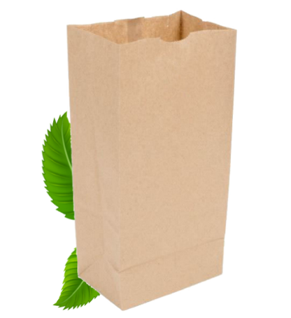 SO6 Kraft Bags 300 X 150 X G90MM (Pack of 500)