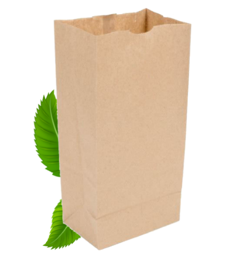 SO6 Kraft Bags (Pack of 500)